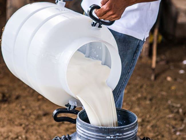 MinAgricultura anuncia medidas para solucionar problemas del sector lechero en Colombia