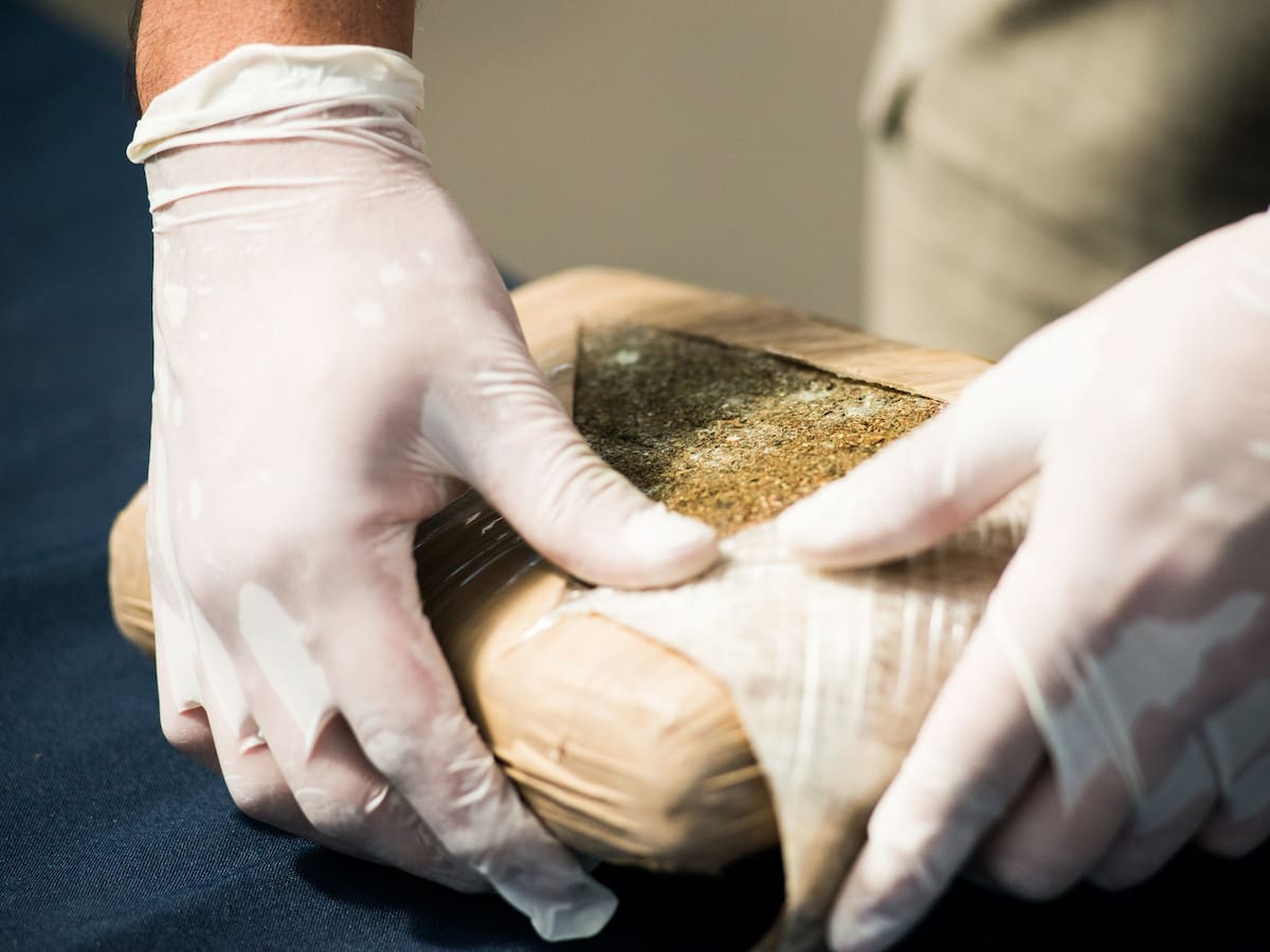 Animales, frutas y verduras: así esconden la droga los narcos que transitan carreteras de Colombia