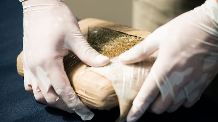 Animales, frutas y verduras: así esconden la droga los narcos que transitan carreteras de Colombia