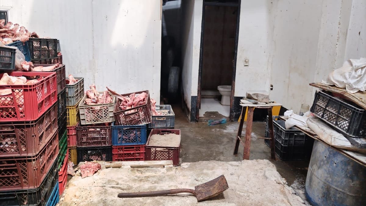 Por incumplimiento a normativas de sanidad, sellaron una bodega de cárnicos en La Romelia