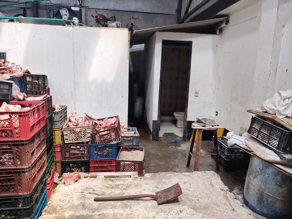 Por incumplimiento a normativas de sanidad, sellaron una bodega de cárnicos en La Romelia