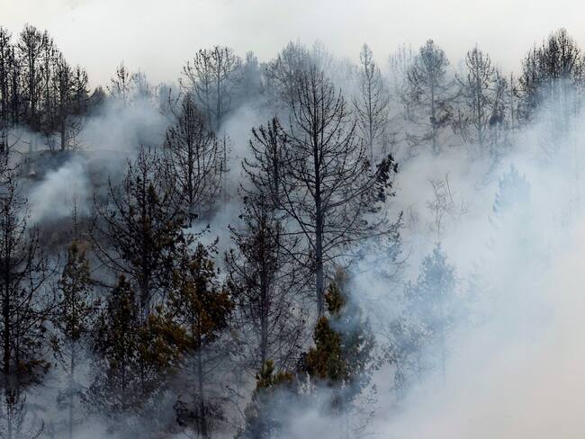 AME2250. BOGOTÁ (COLOMBIA), 25/01/2024.- Fotografía de un incendio forestal hoy, en el cerro El Cable, en Bogotá (Colombia). En la ladera del cerro El Cable, donde desde el miércoles se encuentra el incendio más complicado, los habitantes viven atentos a los vehículos de emergencias que suben para atender las llamas, mientras que los vecinos de El Paraíso, en el céntrico barrio de Chapinero, se organizan para juntar comida y bebidas para bomberos, policías y militares. El fuego comenzó alrededor del mediodía, uniéndose al que ya acechaba a los vecinos de los cerros orientales el lunes y que aún sigue activo. Entonces, los vecinos comenzaron a enviar mensajes de texto y alertar sobre la amenaza del fuego.EFE/ Mauricio Dueñas Castañeda