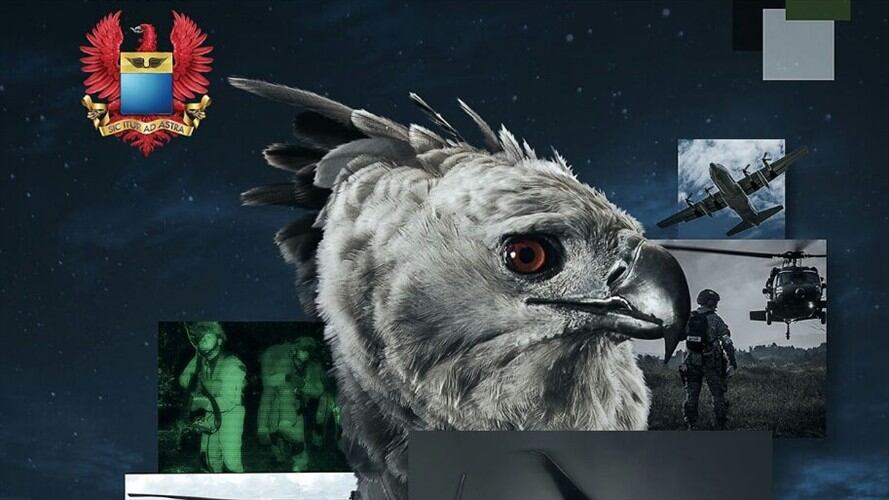 Águila Arpía colombiana. Foto: Cortesía Fuerza Aérea