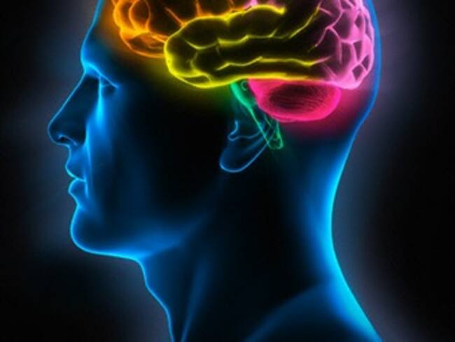 Alimentos que contribuyen al buen funcionamiento del cerebro