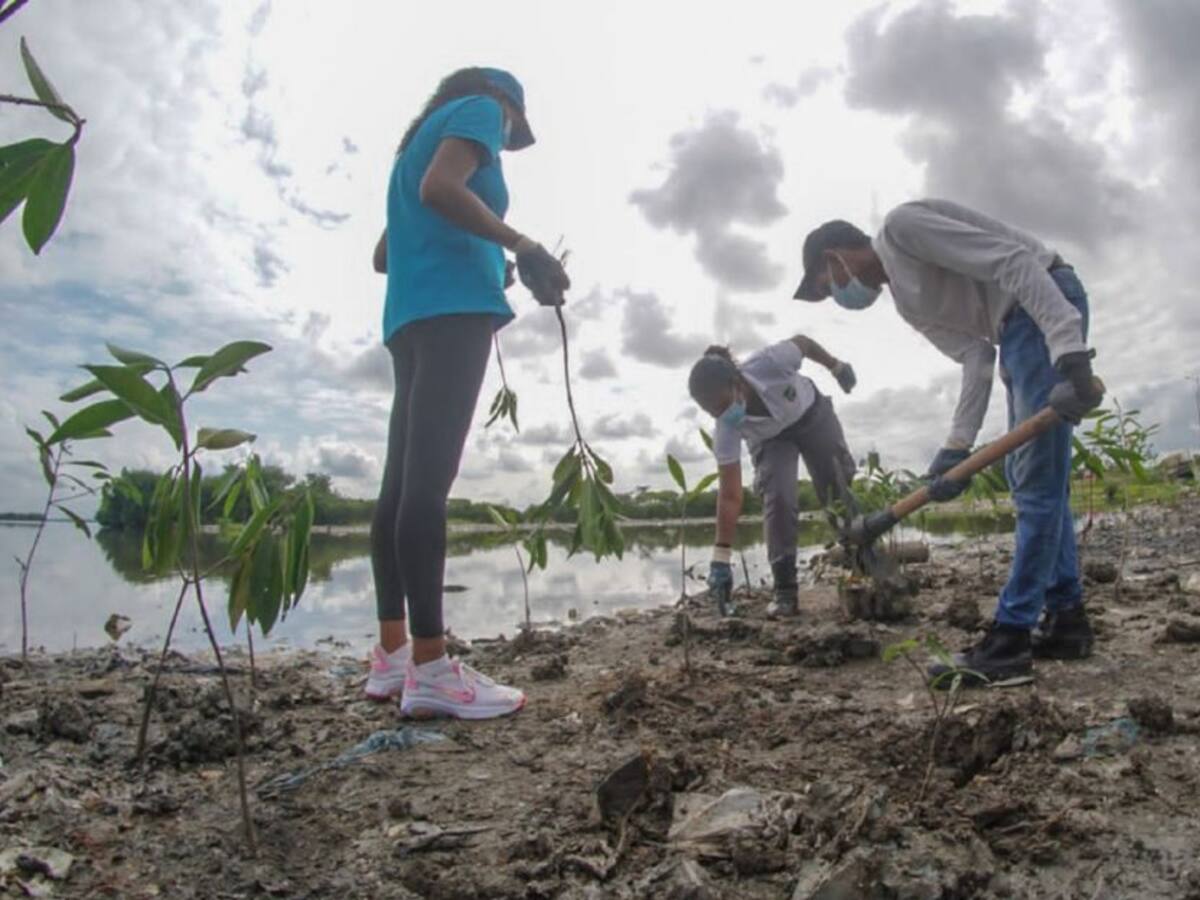 EPA Cartagena adelanta intervención en la Ciénaga de la Virgen