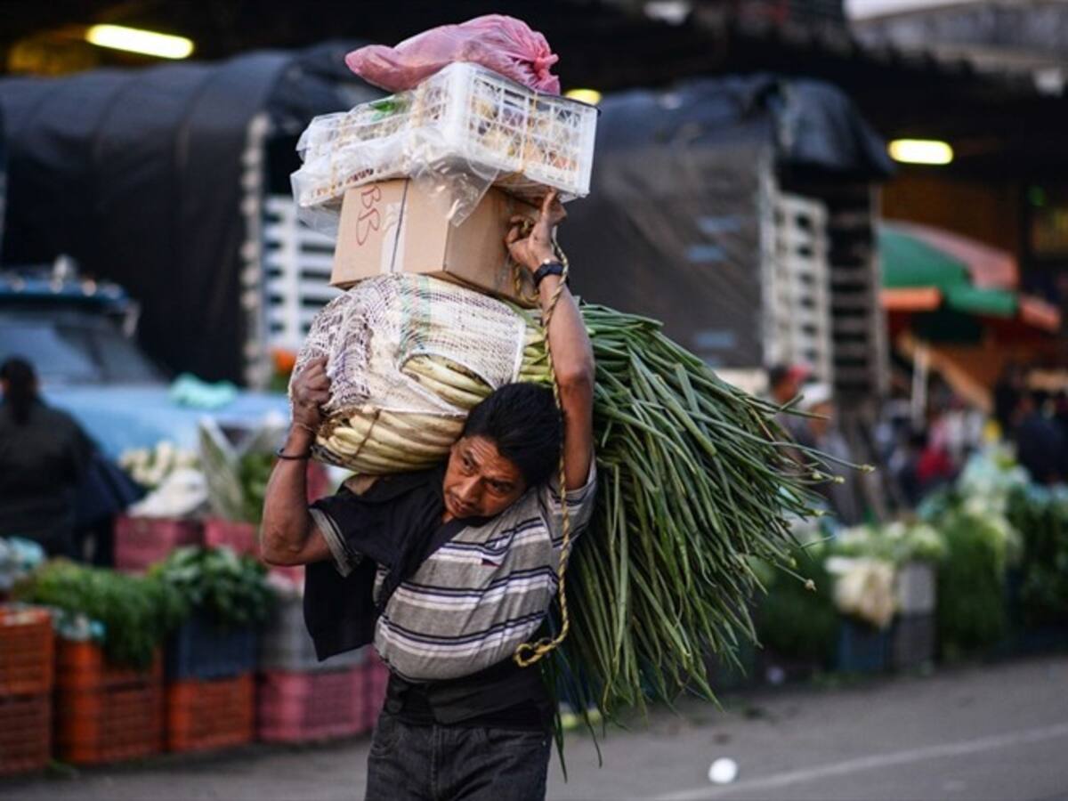 Es totalmente injusto pago a 90 días a pequeñas empresas: Marcela Monroy, abogada