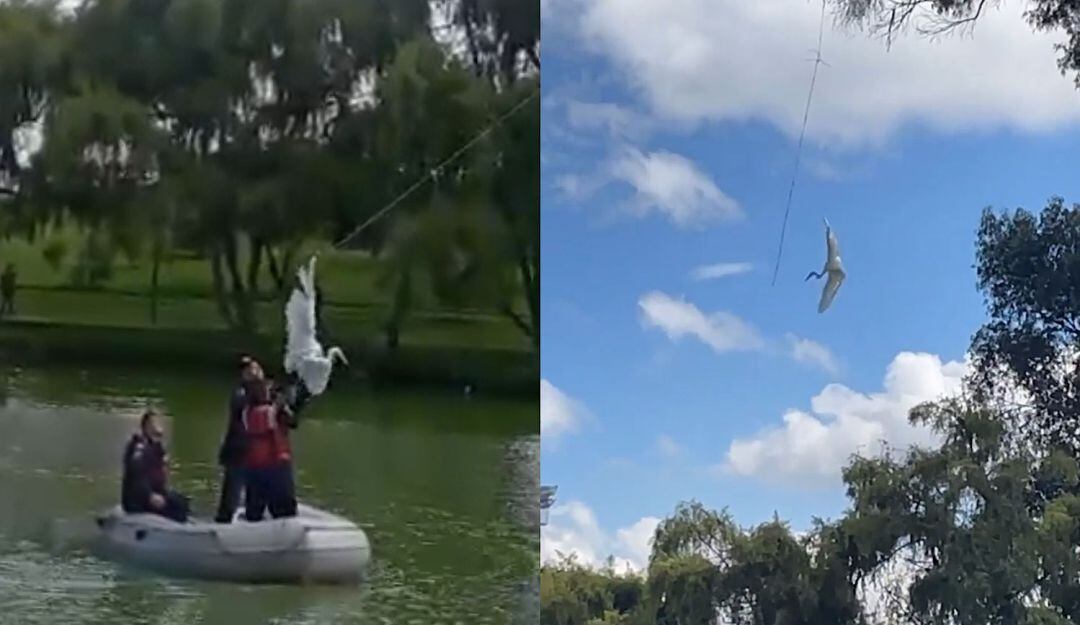 Suminstrada - Bomberos - Garza - Parque Timiza