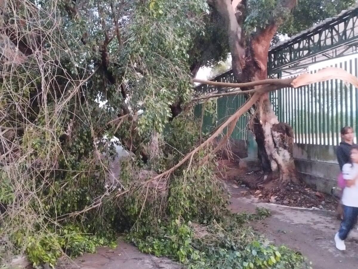 Floridablanca fue el municipio más afectado por las lluvias de las últimas horas