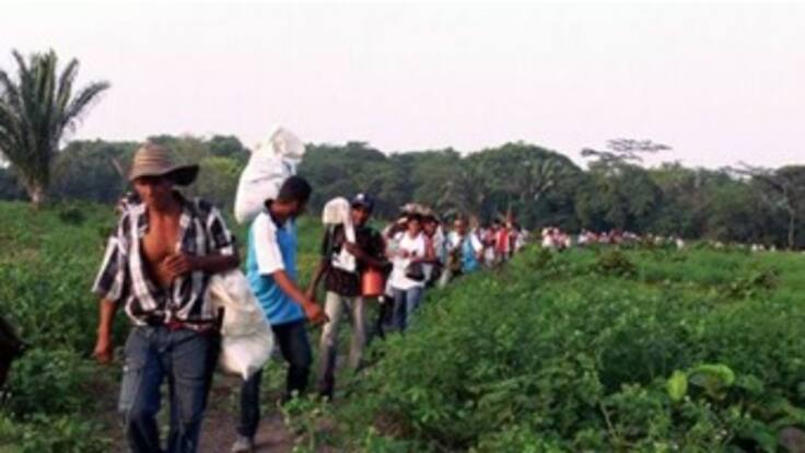 Contraloría pide investigar presuntas cifras falsas de Minagricultura