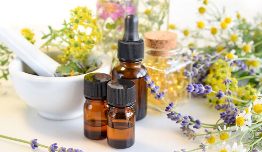 Las plantas son una gran alternativa de vida