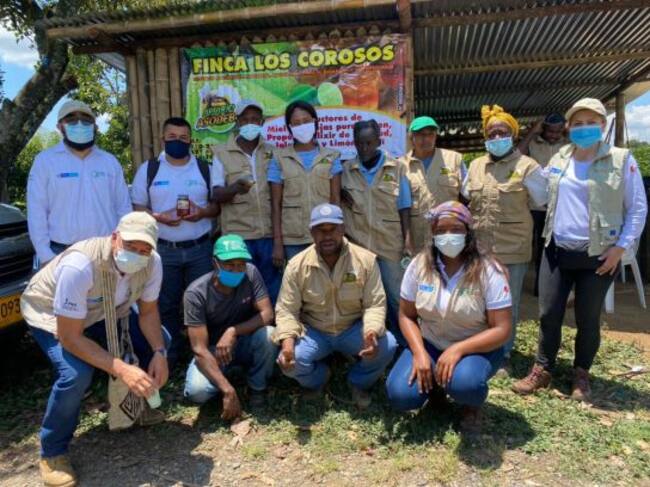 Implementación de proyectos de apicultura en Cauca