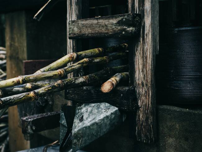 “La tapetusa” un licor de tradición ancestral