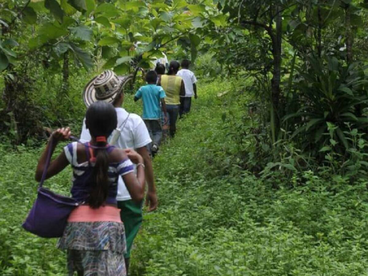Corte Constitucional alista fallo para la entrega de tierras baldías