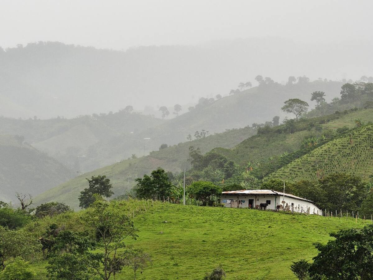 El Huila es pionero en Ordenamiento Productivo y Social de la Propiedad Rural