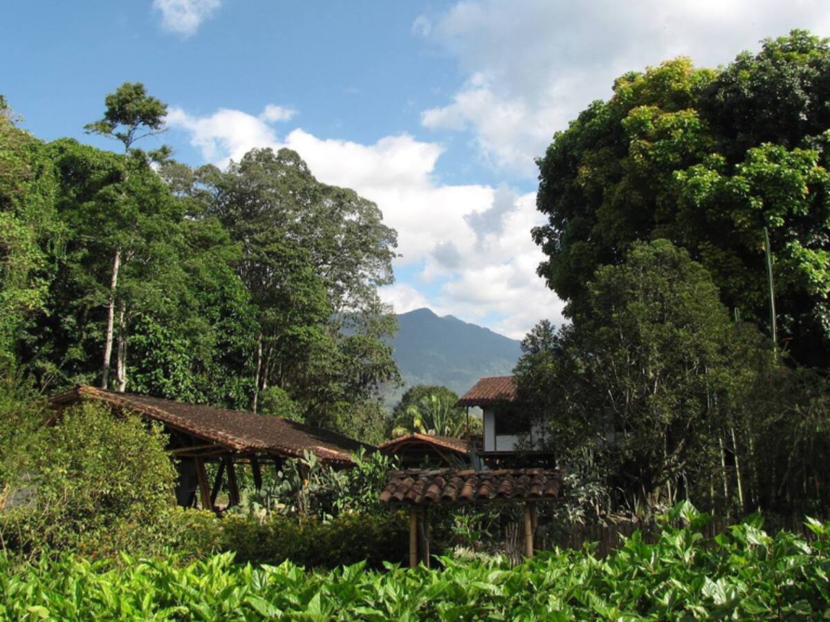 Jardín Botánico del Quindío: ¿cuánto dura el recorrido? Precio del ingreso por edades