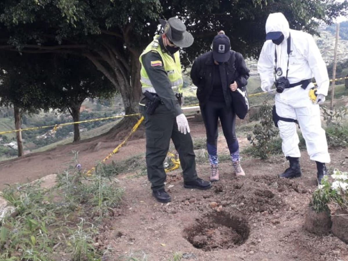 Las autoridades hallaron una fosa con 42 gatos muertos en Medellín