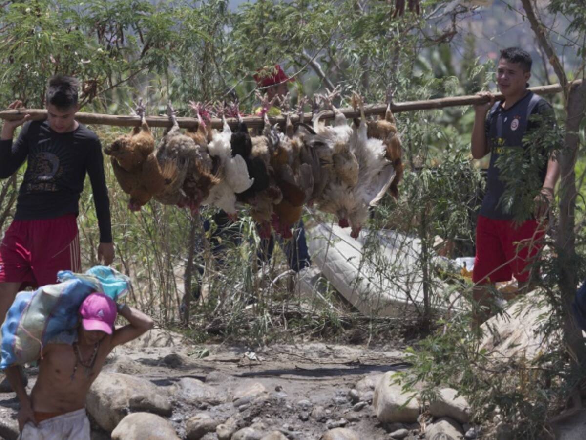 Aumenta consumo y la producción de carne en la frontera