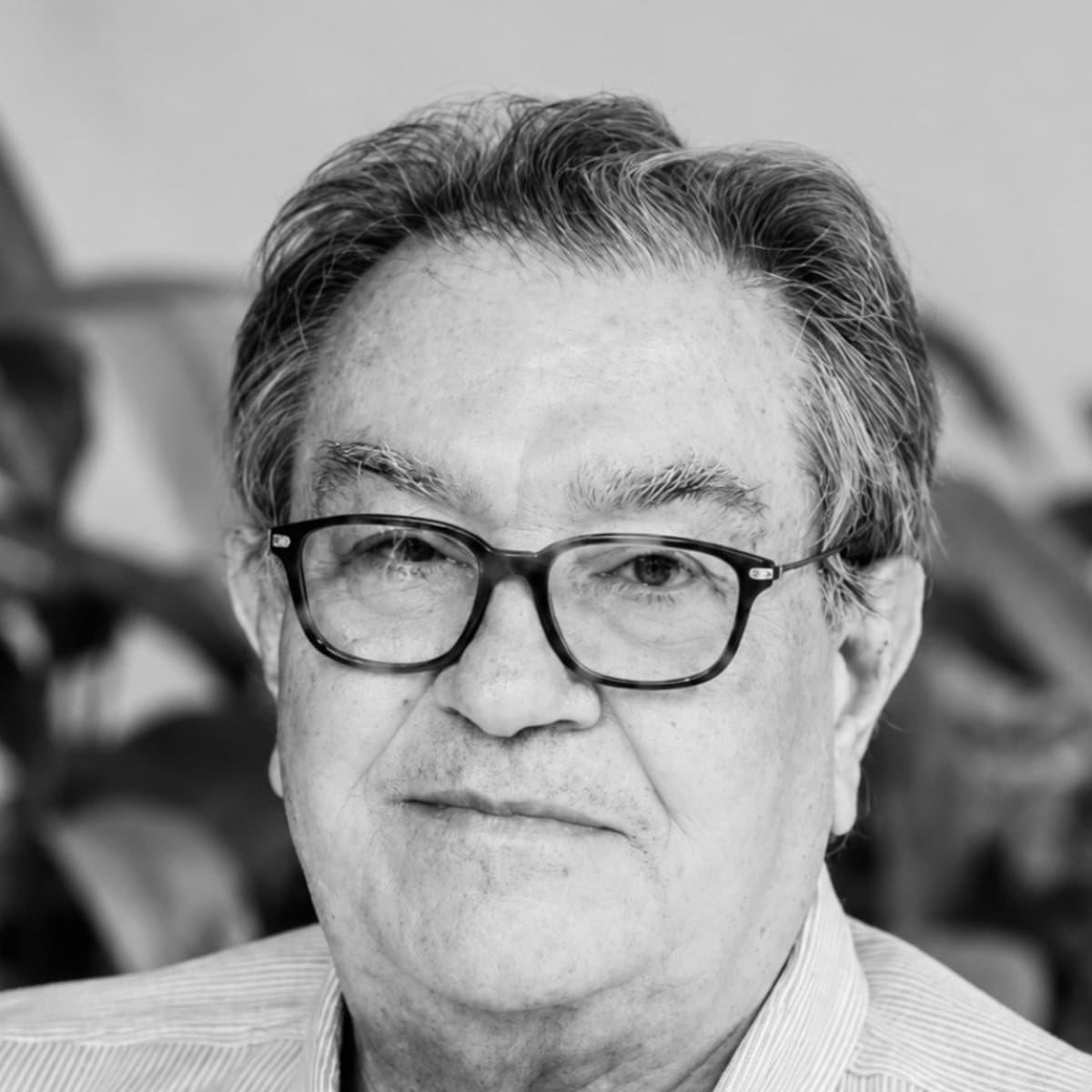 Murió Darío Pavajeau Molina, gestor cultural y ‘guardián’ del vallenato en Colombia