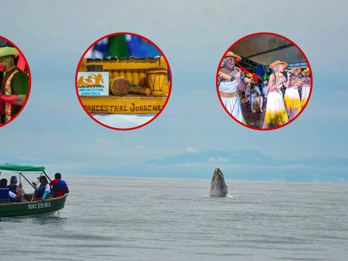 En la playa y a ritmo de marimba, las comunidades de Buenaventura despedirán temporada de ballenas