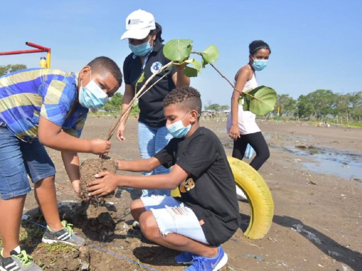 Colegios de Cartagena deben implementar planes de arborización