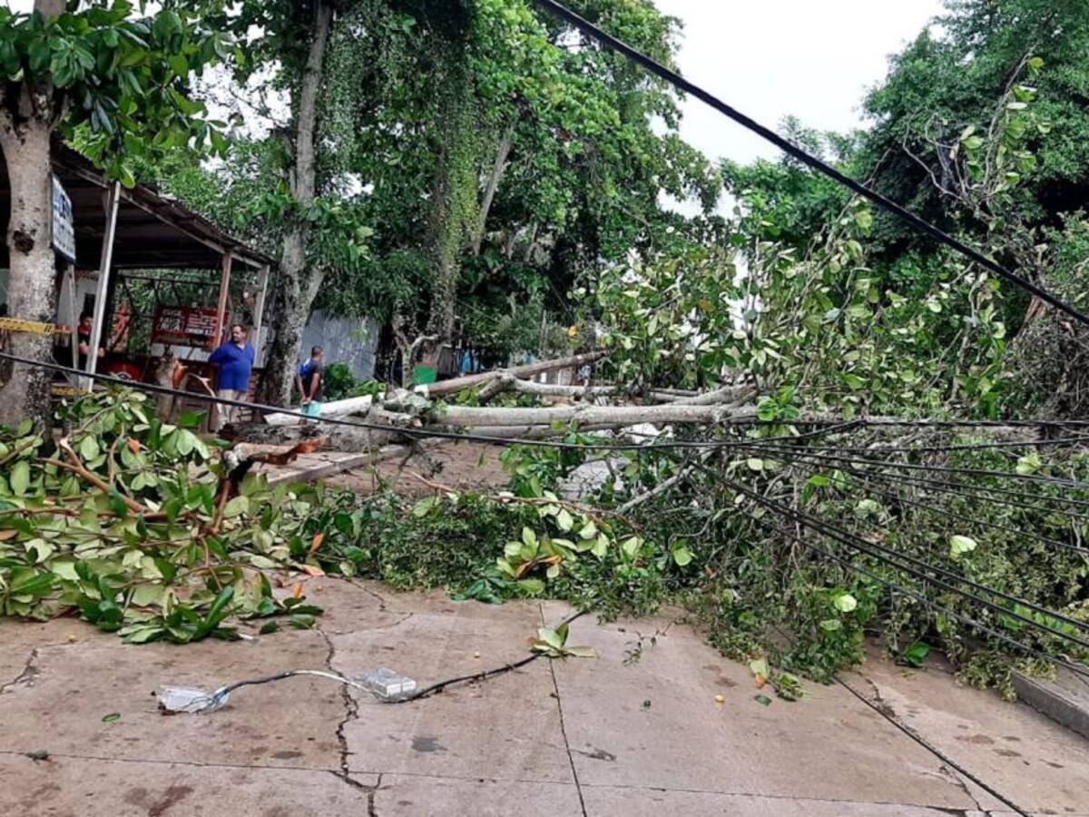 Reportan emergencias en municipios de Sucre por lluvias y fuertes vientos