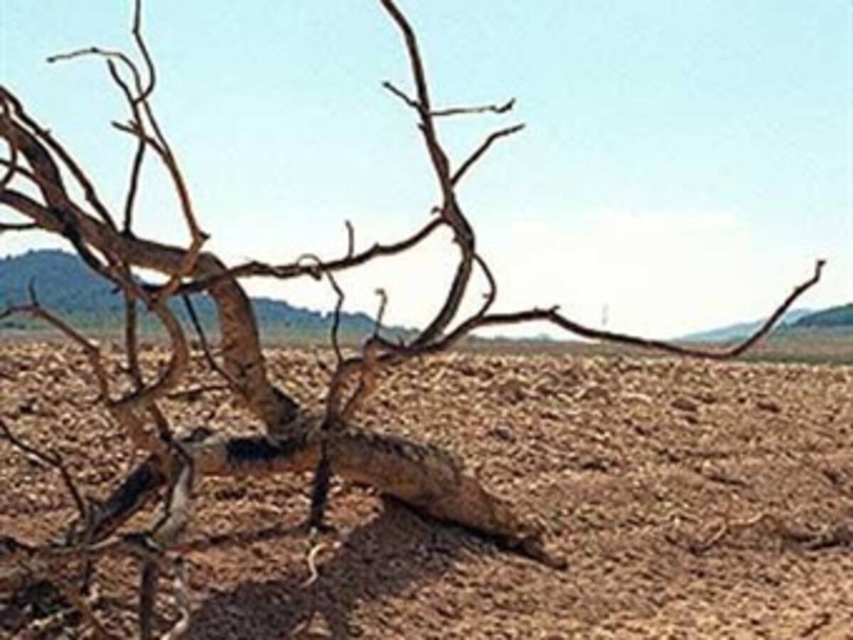 Cambio climático afectó a latinoamericanos 8 veces más que en últimos 30 años