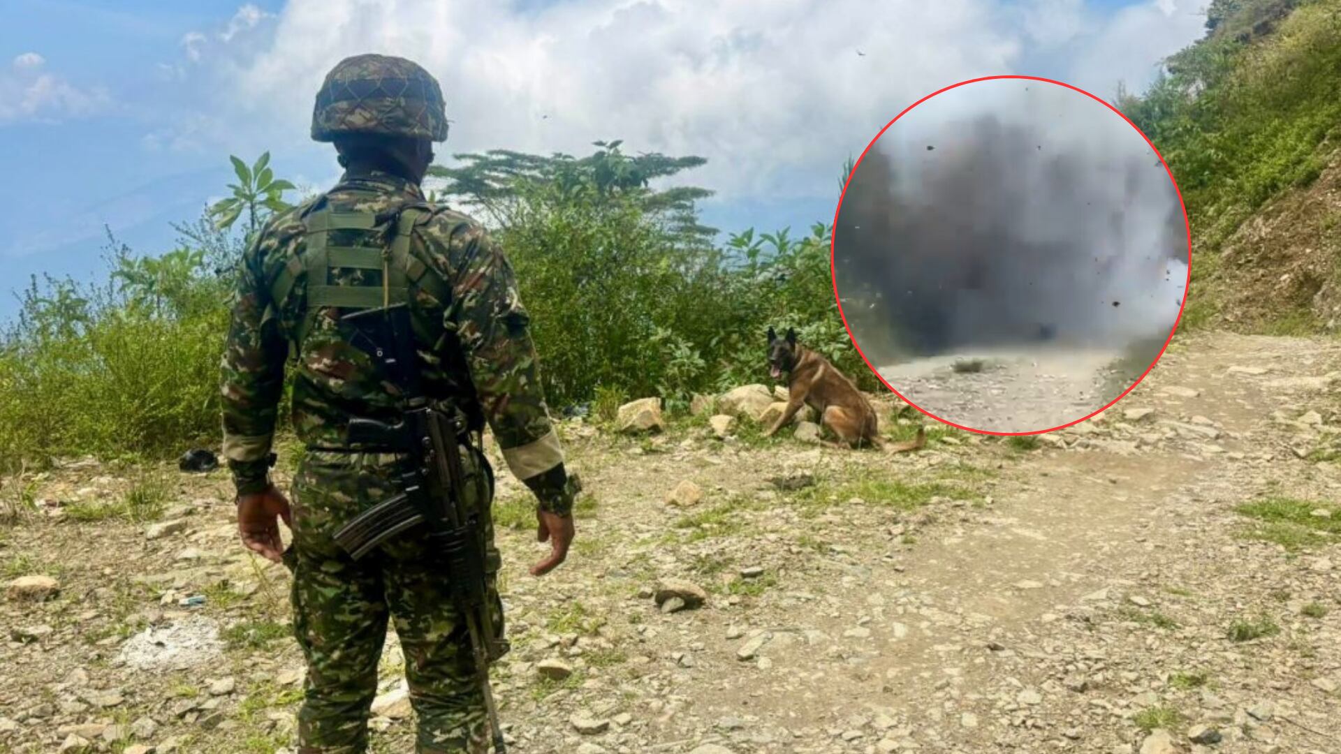 Cortesía: Ejército Nacional 