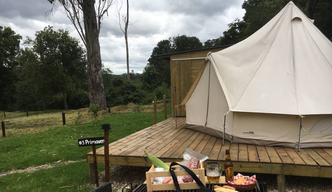 Imagen de referencia