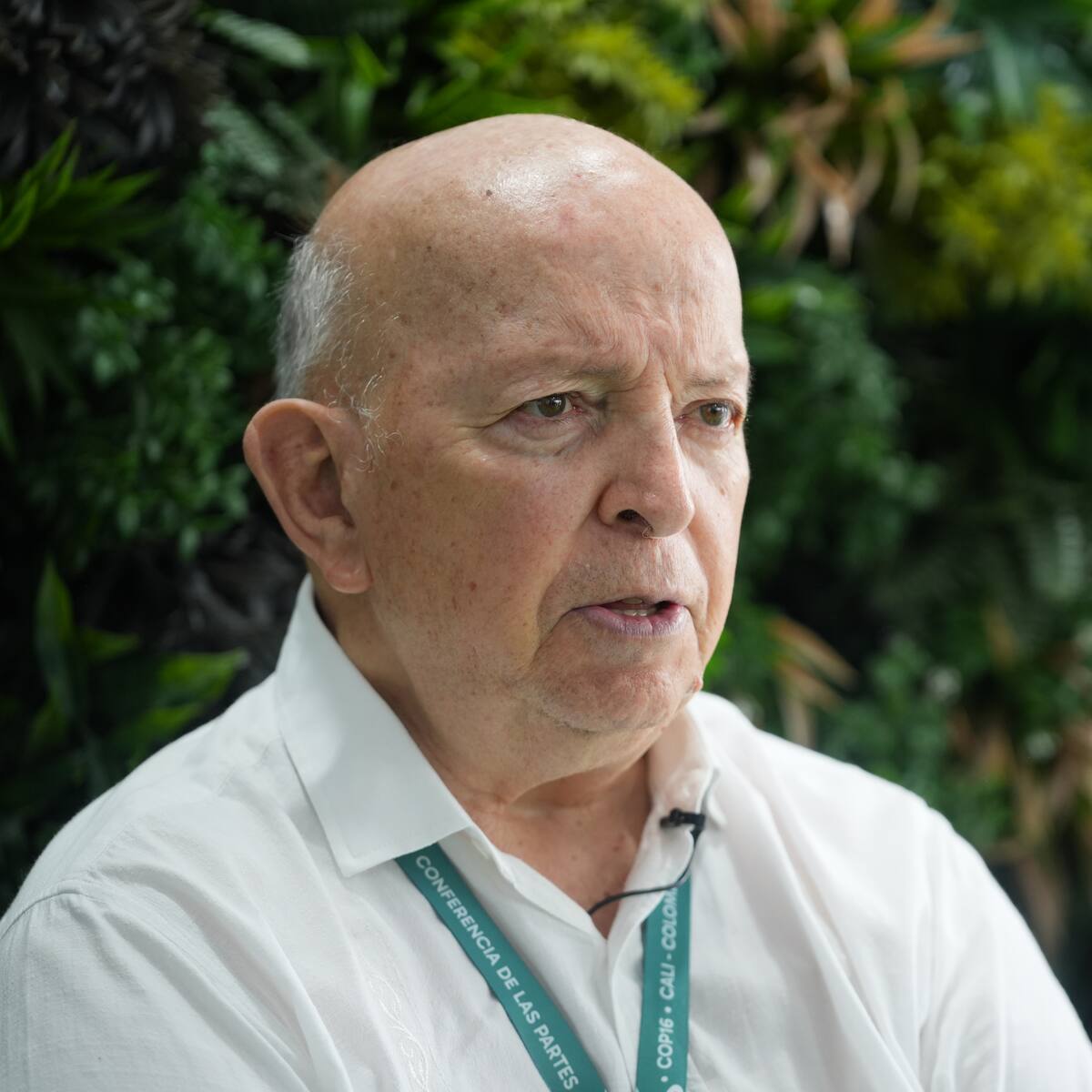 ¿Qué son las Zonas de Ubicación Temporal que Gobierno fijó para Clan del Golfo? Otty Patiño explica