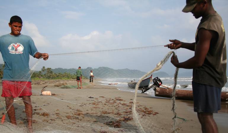 Defensoría reportó aparición cuerpos en playas del Chocó.