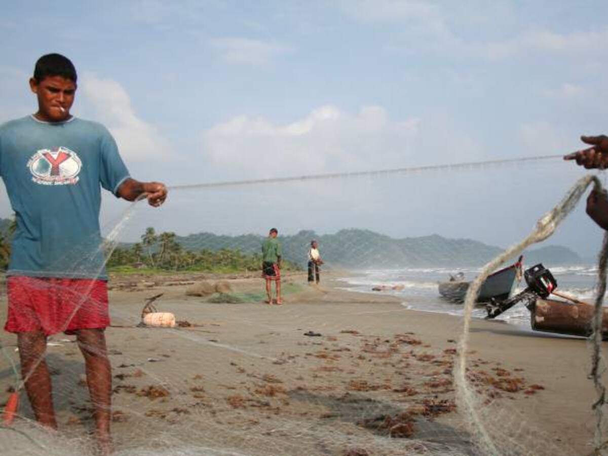 Defensoría reportó aparición cuerpos en playas del Chocó