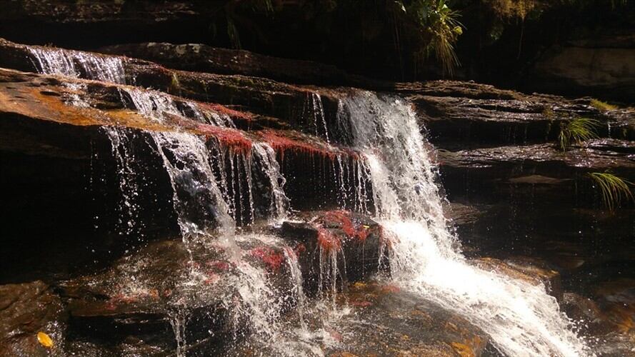 Parque Nacional Sierra La Macarena.. Foto: Colprensa