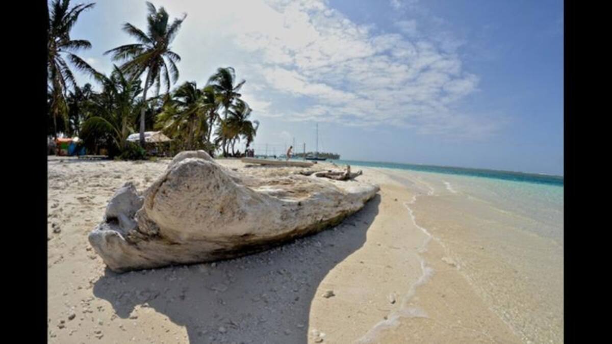 “Caribe, un lugar, un momento, una esquina que te deja sin aliento”, nos dice Daniel Esteban Hernandez de esta foto.