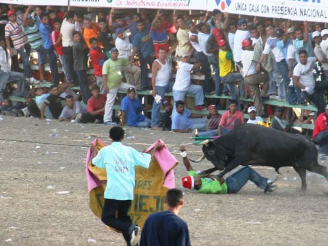 En Bolívar ordenan conservación de animales en fiestas de corralejas