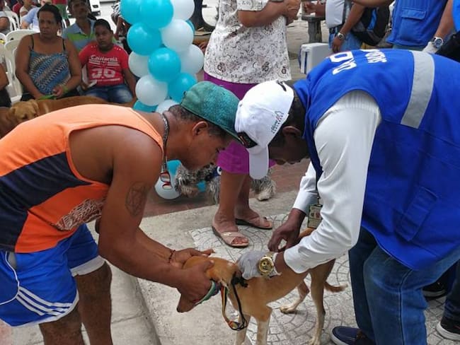 En Cartagena realizan campañas para la tenencia responsable de mascotas