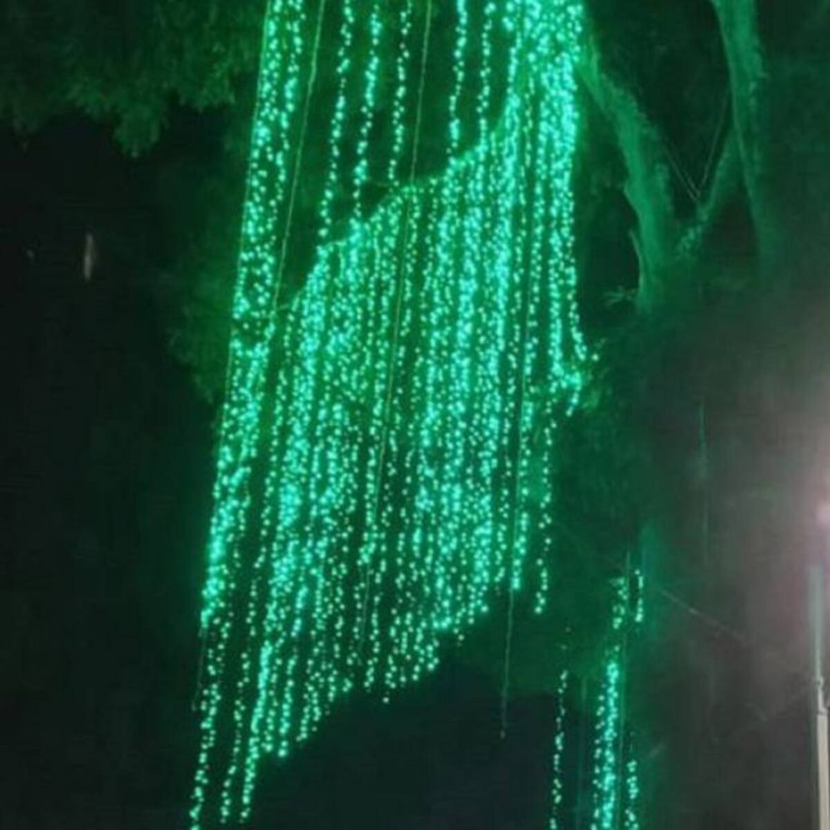Inició el alumbrado navideño en el Quindío
