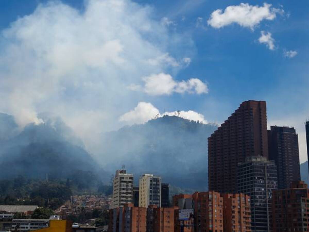 Plan de manejo en los Cerros Orientales se implementará el próximo año