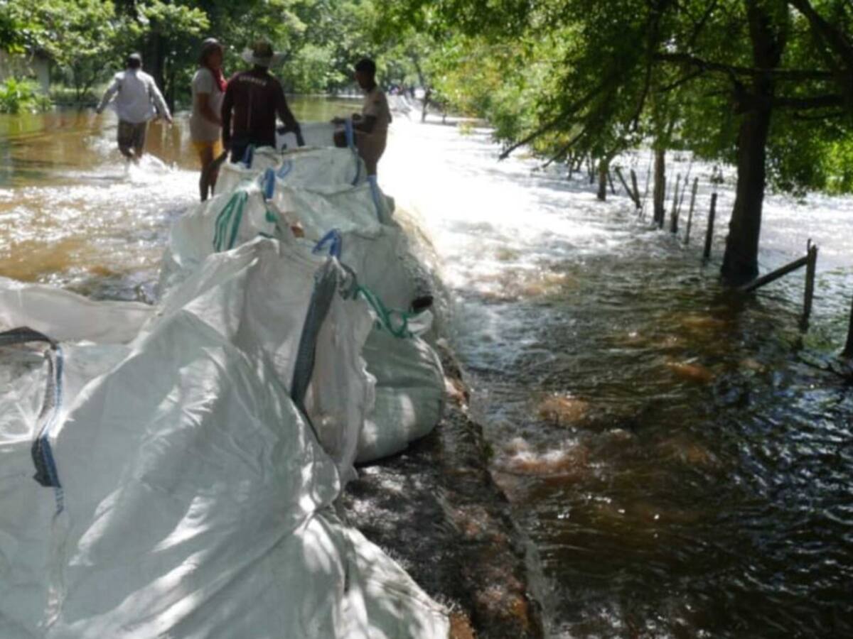 Codemojana se opone al cierre total de la carretera San Marcos- Majagual
