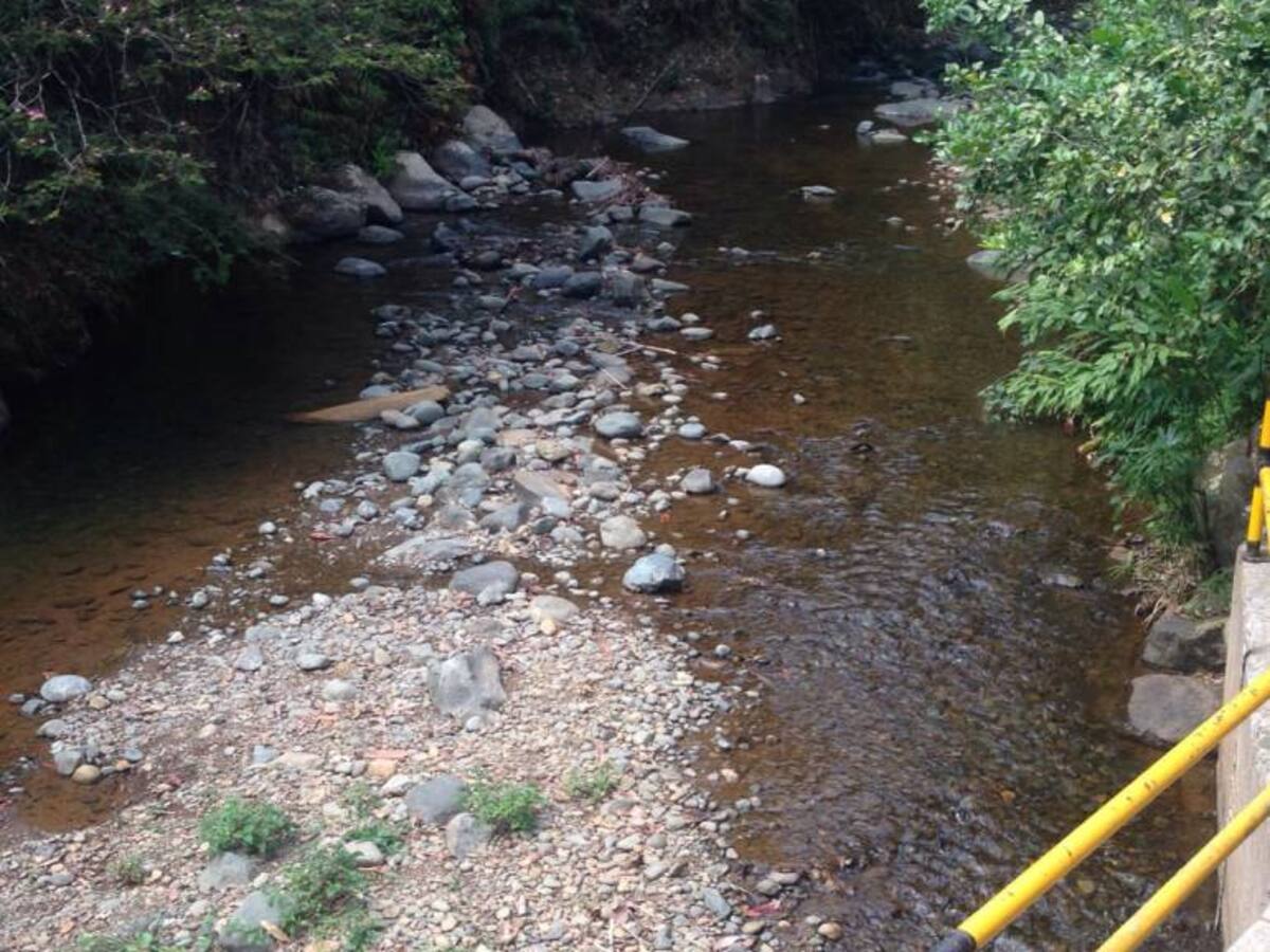 El racionamiento de agua aumentará de 22 a 33 municipios en el Valle del Cauca