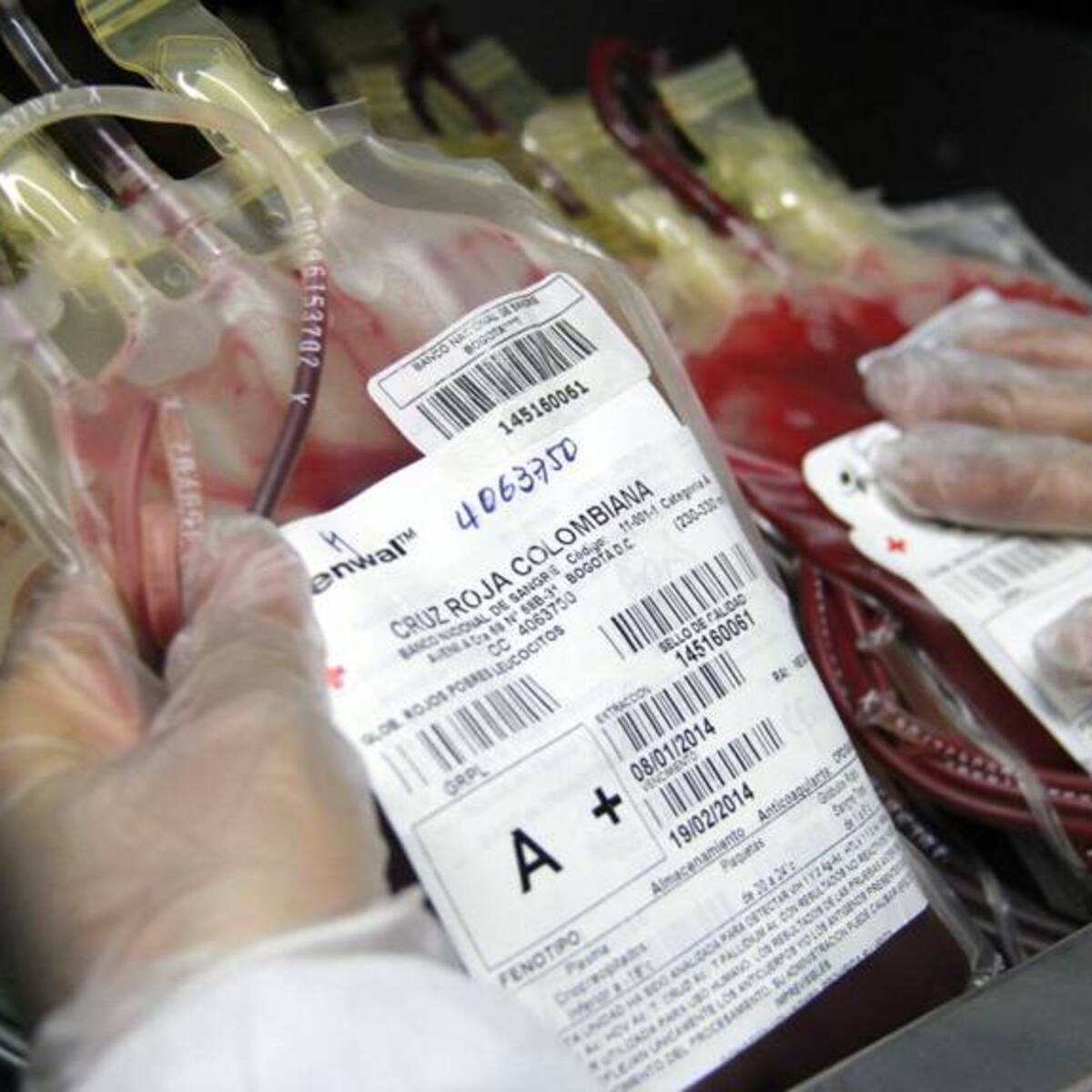 Fundación de niños con cáncer pide con urgencia donante de sangre y plaquetas