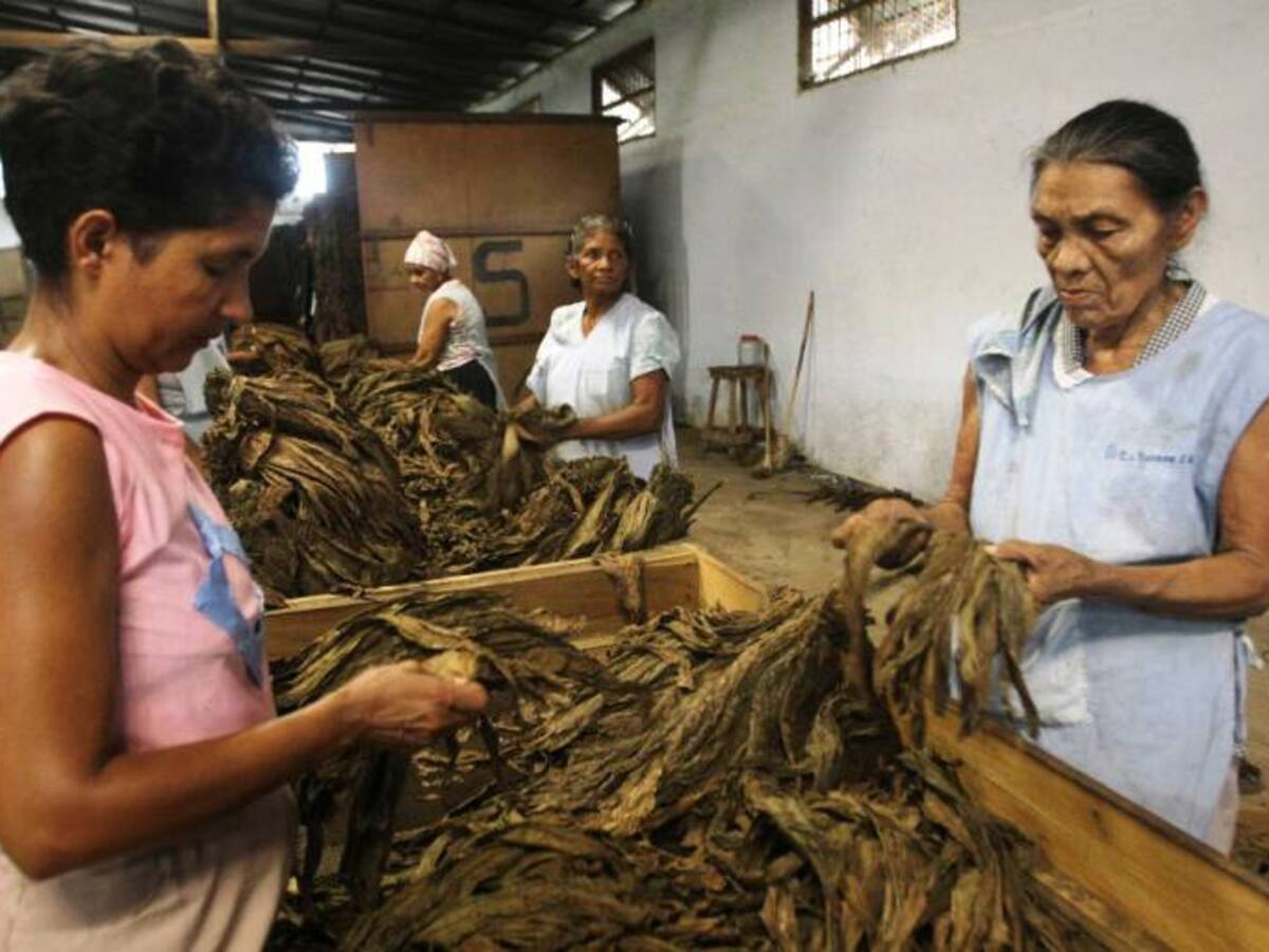 III Feria Agroindustrial y Ganadera “Bolívar Sí Avanza”, vitrina para el campo montemariano