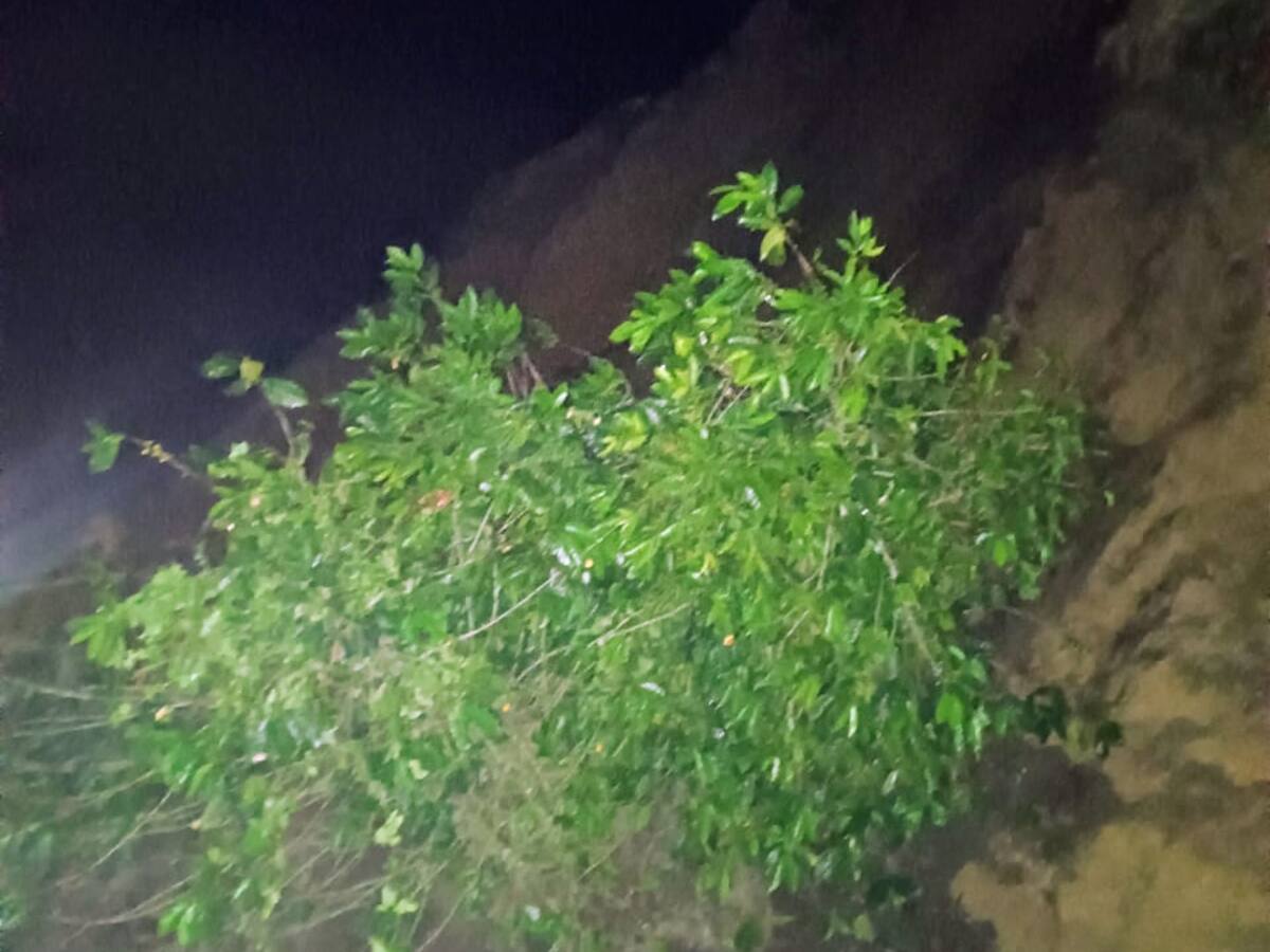 Por deslizamientos de tierra tres vías presentan paso restringido en Caldas