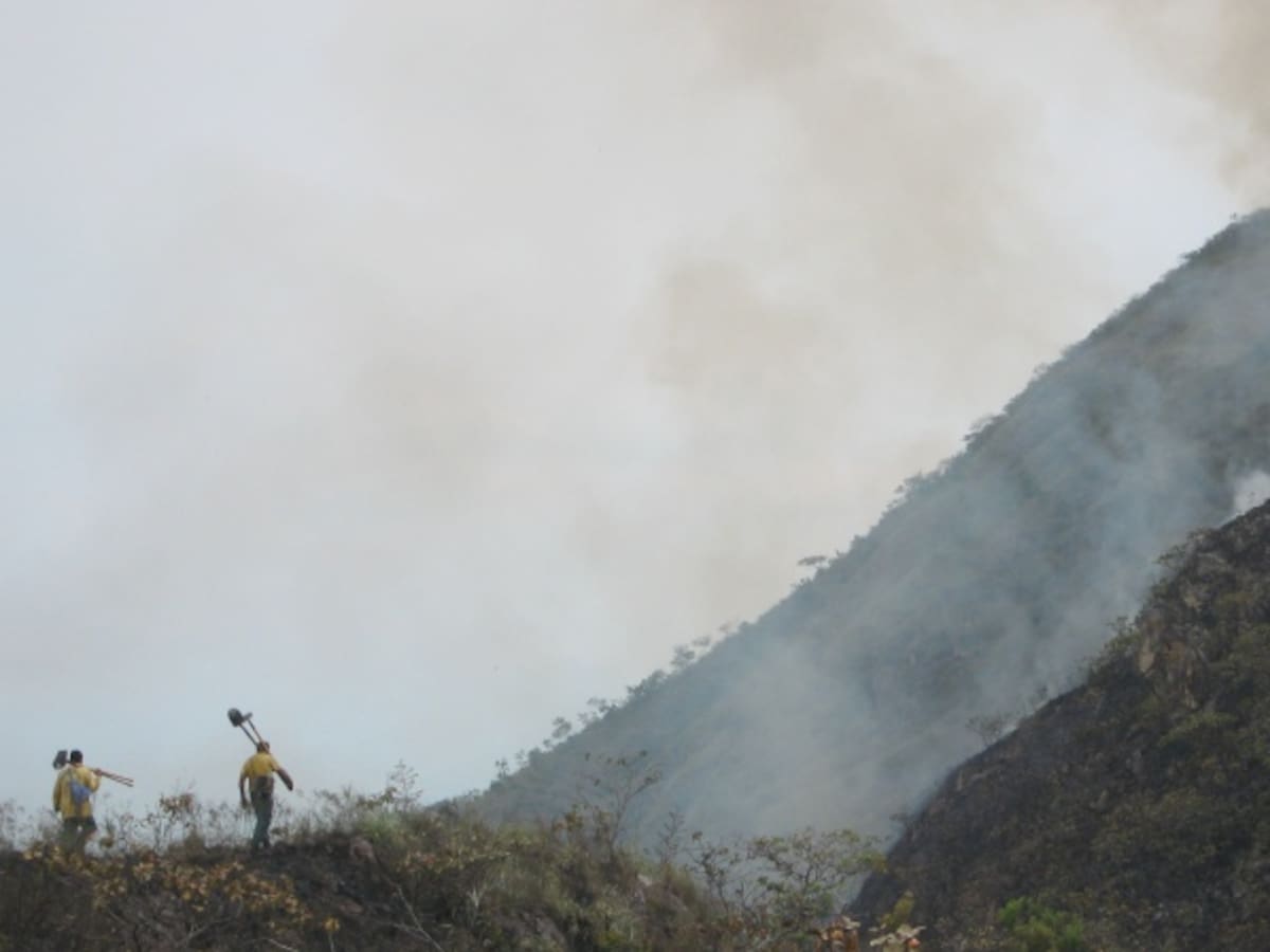 Cerca de 3.300 incendios forestales se han registro en 2015: Santos