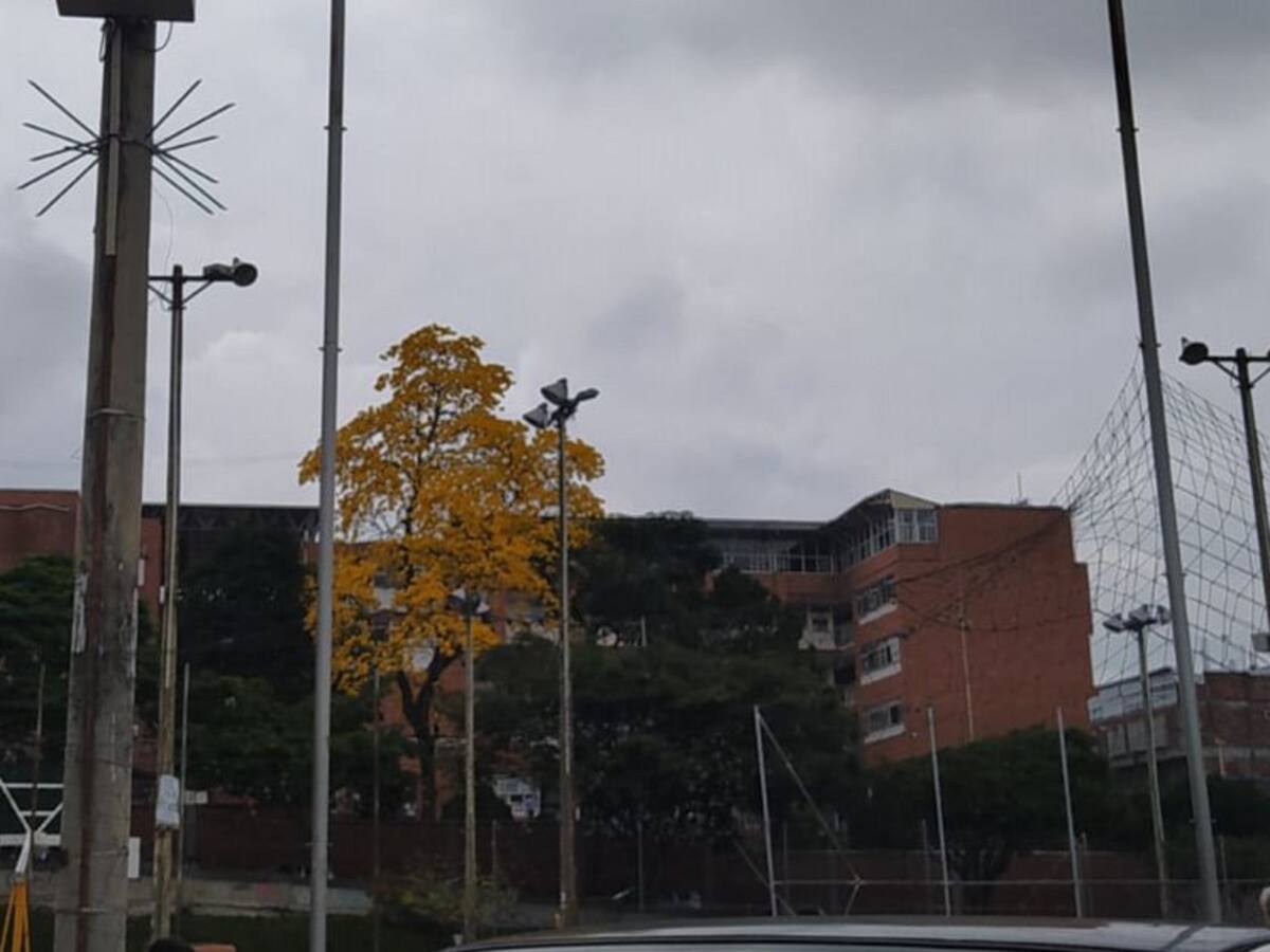 Miércoles 23 de Marzo, las principales noticias de Armenia y Quindío