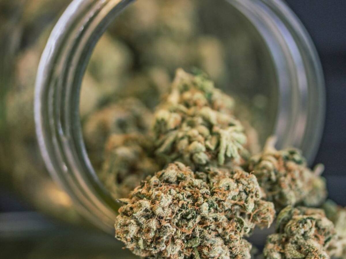 Colombia reglamentó la exportación e importación de Cannabis