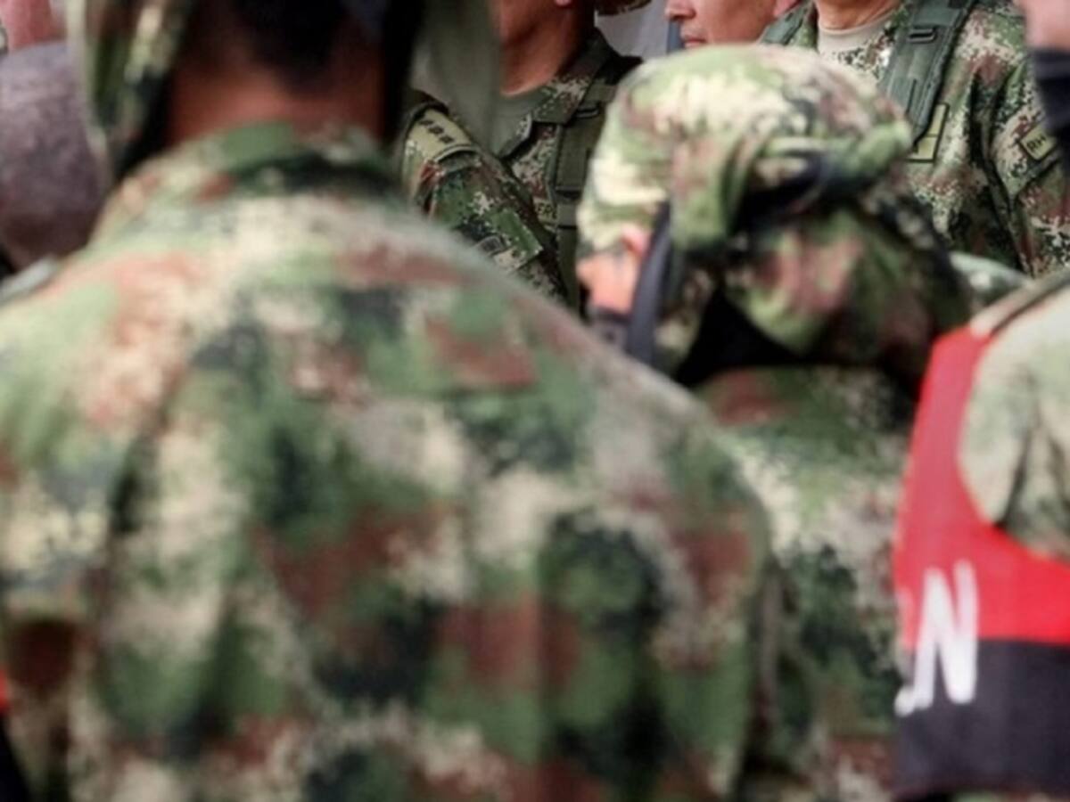 Golpe al ELN debilita su estructura: Ejercito