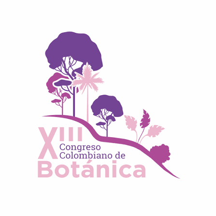 Foto: Cortesía