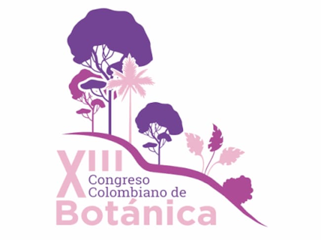 Foto: Cortesía