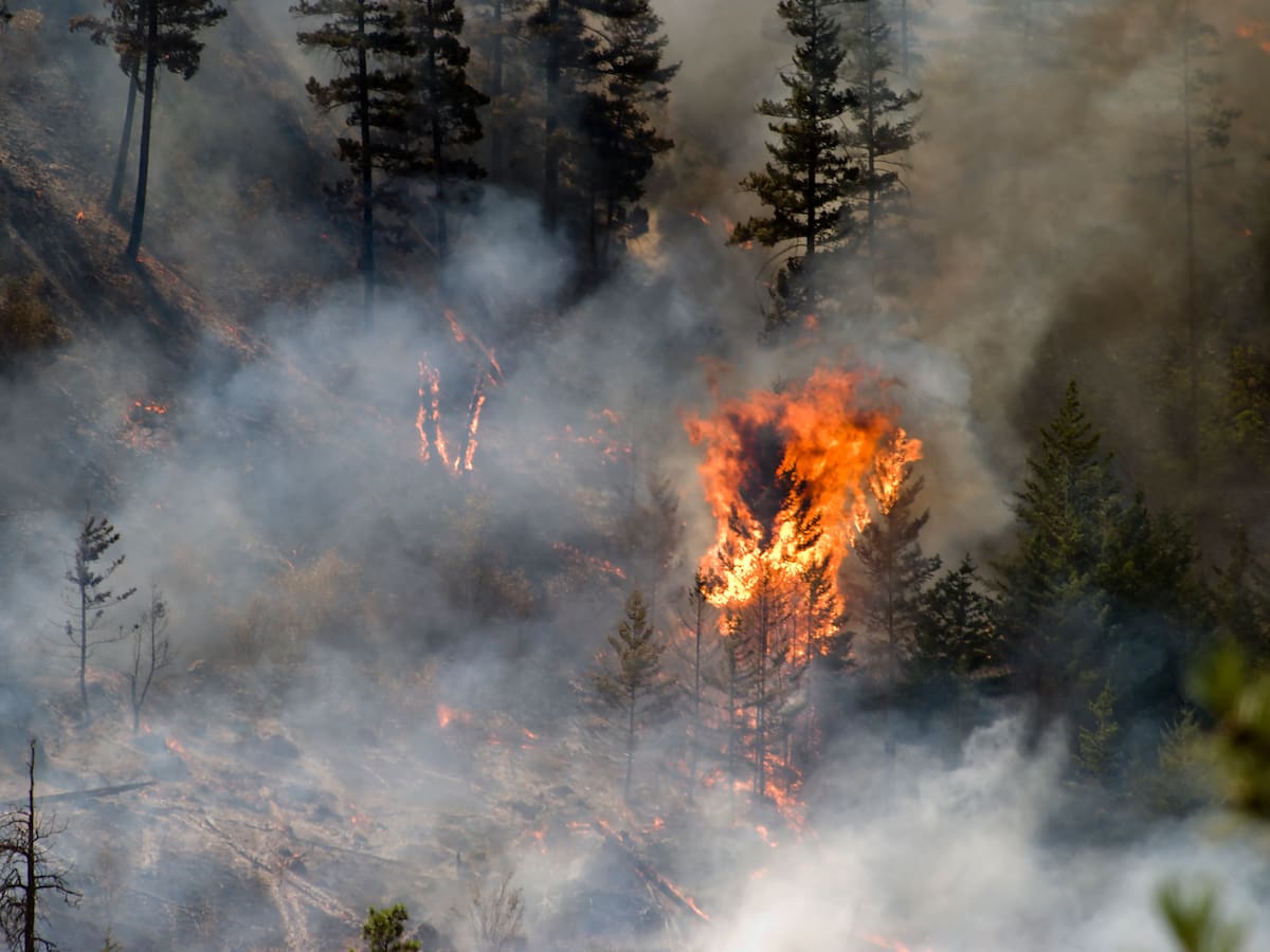 Los incendios forestales en el oeste de Canadá causan una muerte y más de 20.000 evacuados