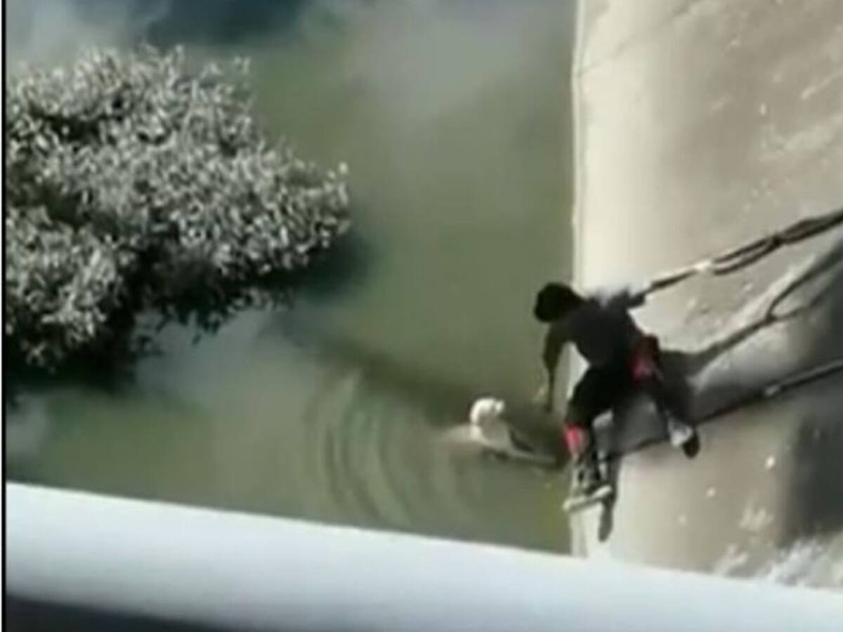 El anónimo héroe que sacó a una perrita de un canal de aguas en Bogotá